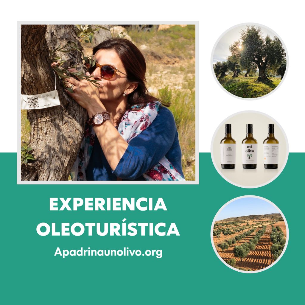 Experiencia oleoturística